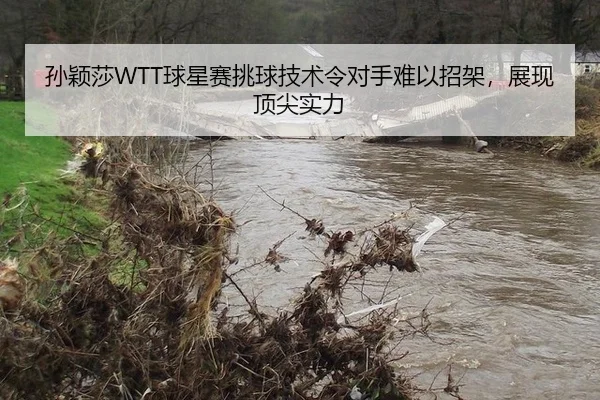 孙颖莎WTT球星赛挑球技术令对手难以招架，展现顶尖实力