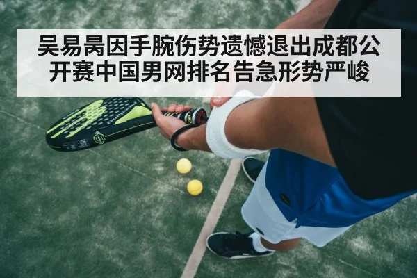 吴易昺因手腕伤势遗憾退出成都公开赛中国男网排名告急形势严峻
